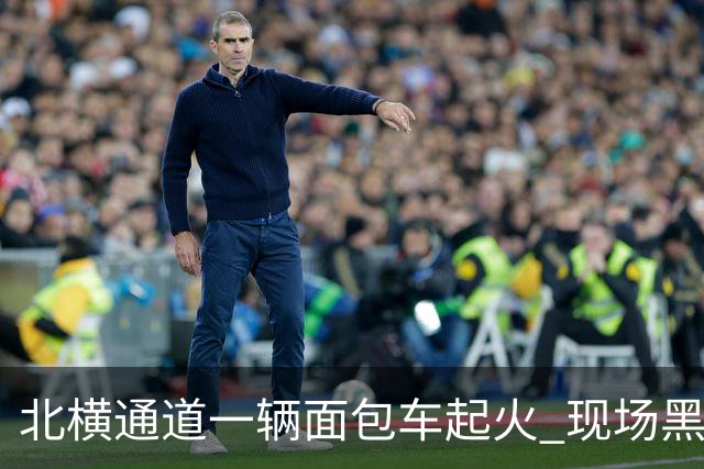北横通道一辆面包车起火 现场黑烟滚滚