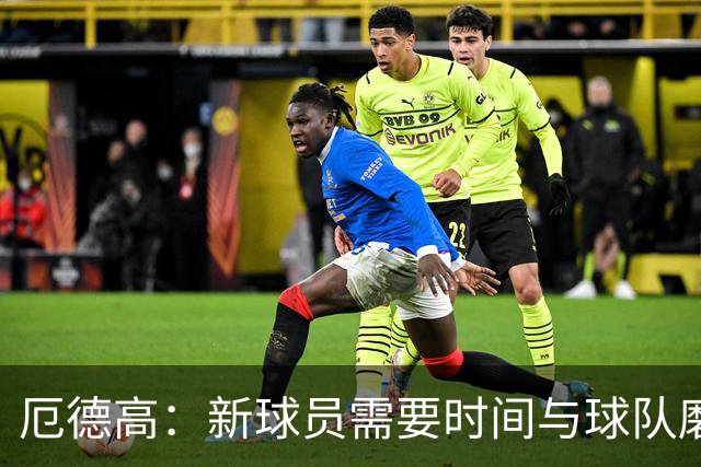 厄德高：新球员需要时间与球队磨合，我们每周都在变得更好