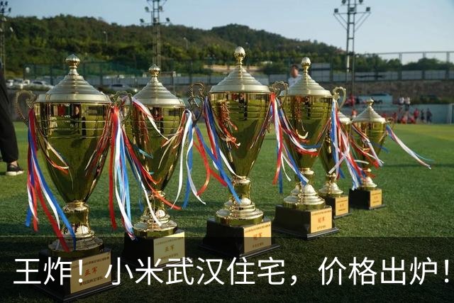 王炸！小米武汉住宅，价格出炉！