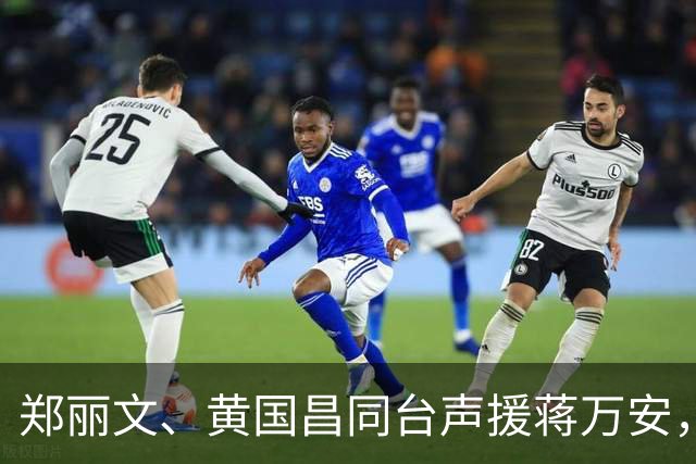 郑丽文、黄国昌同台声援蒋万安，目标直指绿营，蓝营或大势已成！