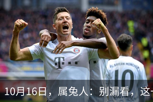 10月16日，属兔人：别漏看，这一天对你很重要