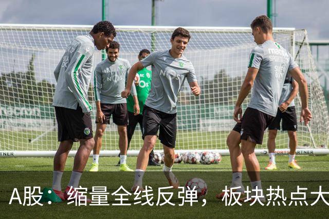 A股：缩量全线反弹，板块热点大乱斗，下午大盘，会这样运行