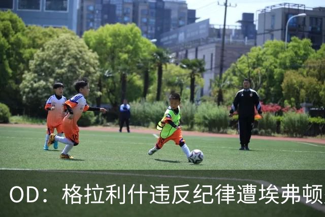 OD：格拉利什违反纪律遭埃弗顿处罚，近11个月未取得进球